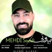 دانلود آهنگ جدید مهدی سعیدی میدونی